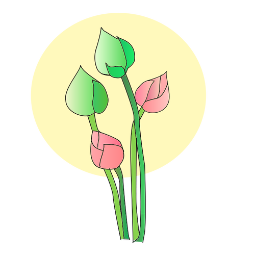 Vectorul de flori lalea