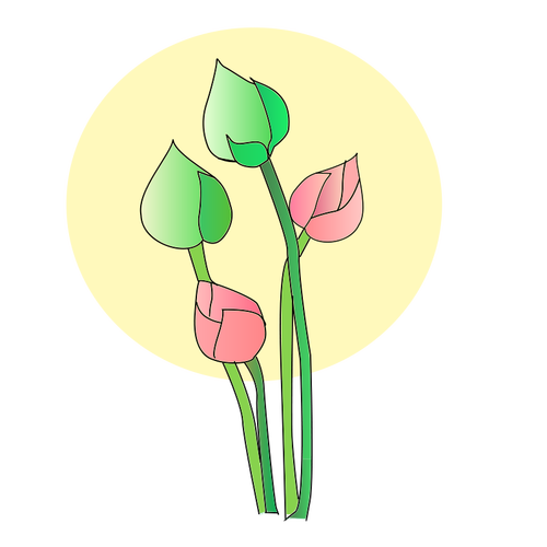 Vetor de flor tulipa