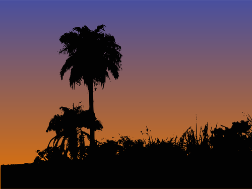 Palm arbres silhouette vecteur dessin