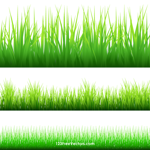 Silueta zelené trávy