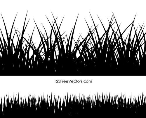 צלליות צמח הדשא