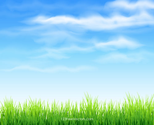 空と草の背景