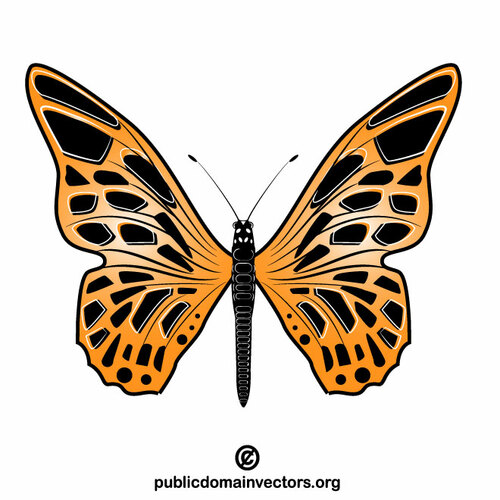 Butterfly clipart