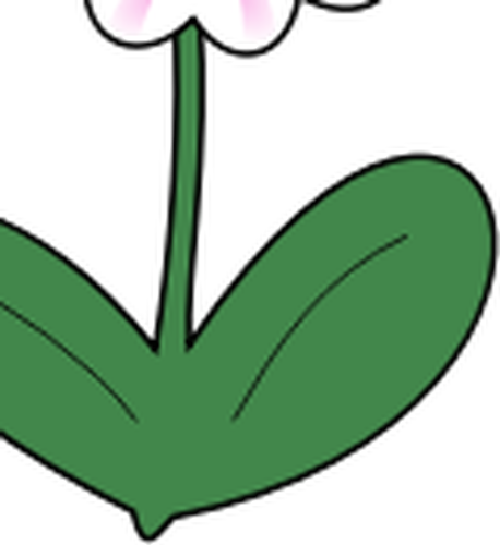 矢量图形的雏菊与长长的绿色叶子