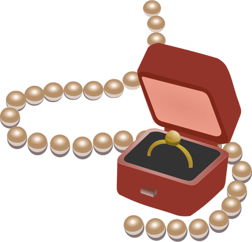 Smycken box och pärlor vektorbild