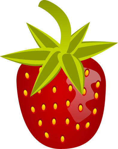 Vector image of sweet soft red fruit