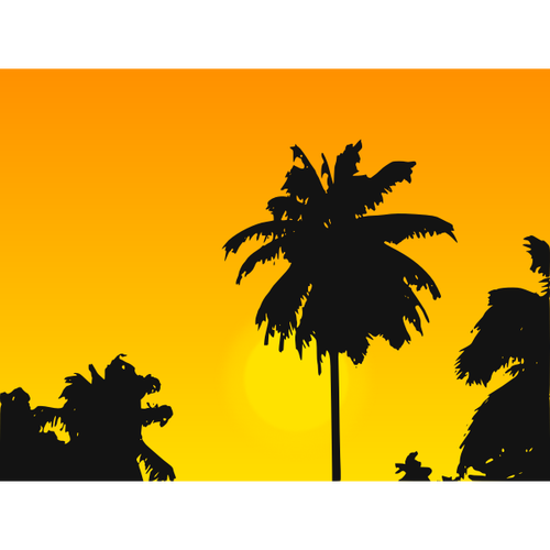 Palm tree in the sunset