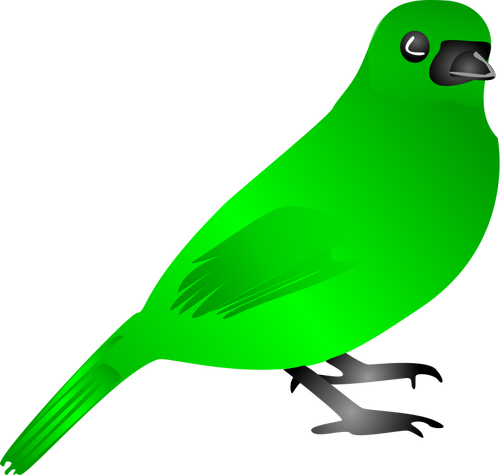 Dessin vectoriel d’oiseau vert