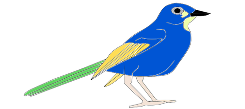 Bilden av färgglada papegoja