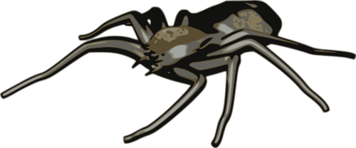 Spider vektor ClipArt