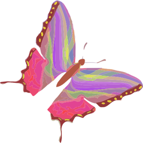 Радуги бабочка