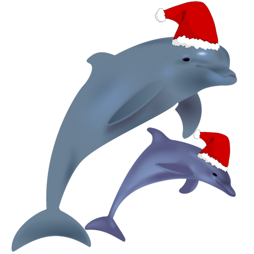 عيد الميلاد الدلافين