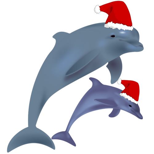 Dauphins de Noël