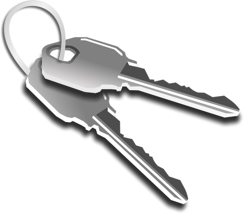 Two keys on a keychain vector graphics