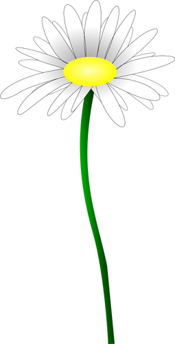 Einfach Farbe Abbildung eines einfachen Gänseblümchens
