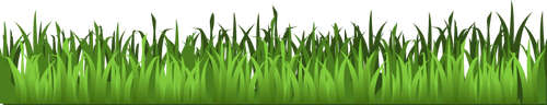 Zelený travní obraz