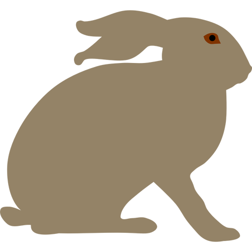 Lapin avec image d