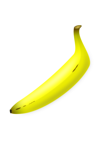 Vector illustraties van rechte gevormde banaan