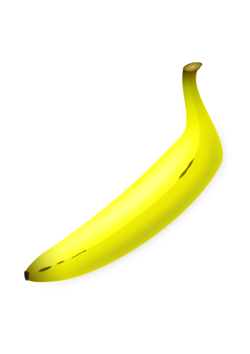 Vektor-ClipArt gerade geformte Banane