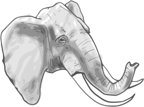 Overzicht vectorafbeeldingen van olifant
