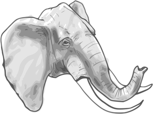 Contorno gráficos vectoriales de elefante