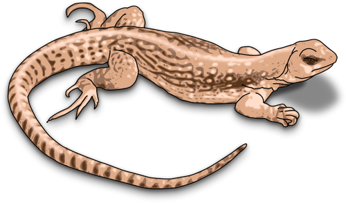Ilustração de lagarto marrom com sombras
