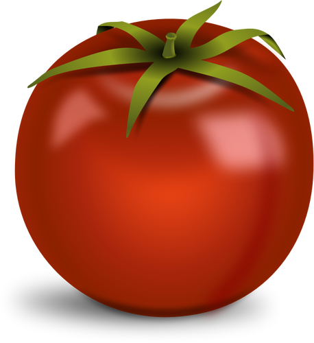 光沢のあるトマト