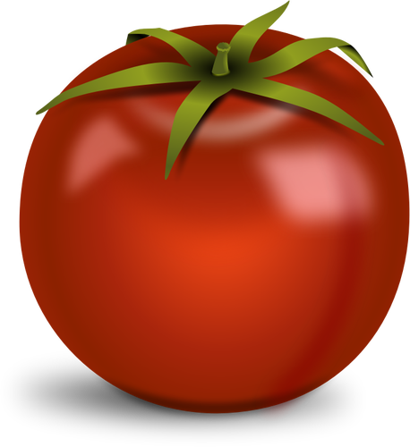 Tomate glacé