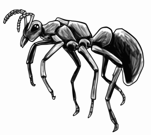 Ant vector afbeelding