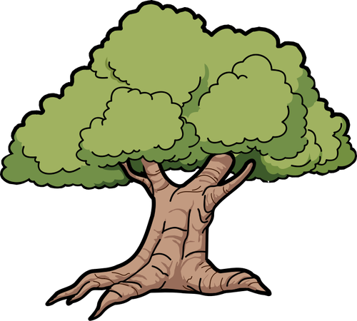 Vector graphics of wide roots oak tree