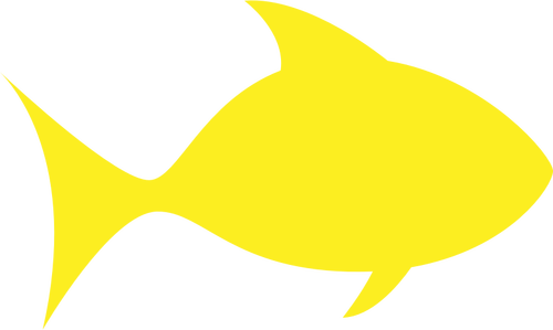 A yellow fish