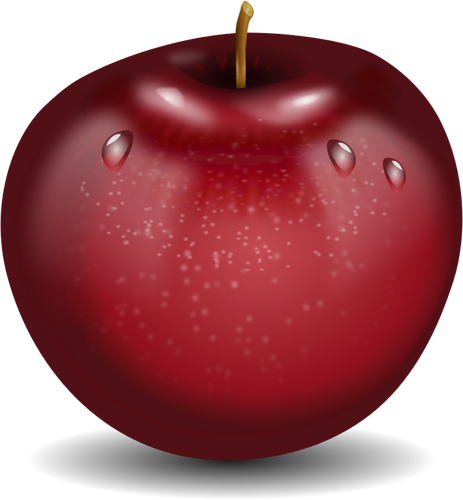 Vector drawing of photorealistic red wet apple