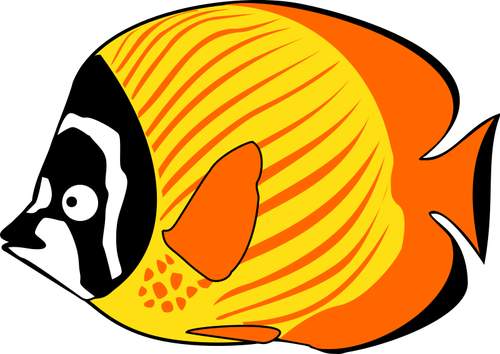 Disegno fumetto Butterflyfish