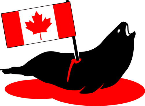 Bıçaklanmış Kanada mühür