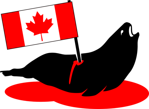 Nożem Canadian seal