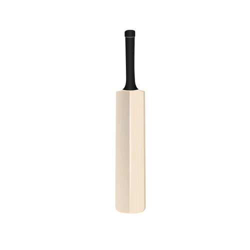 Kriket sopası vektör görüntü