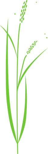 Vectorul miniaturi de orez simplu plante