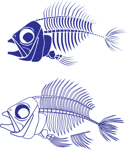 Gráficos del vector de esqueleto de pescado