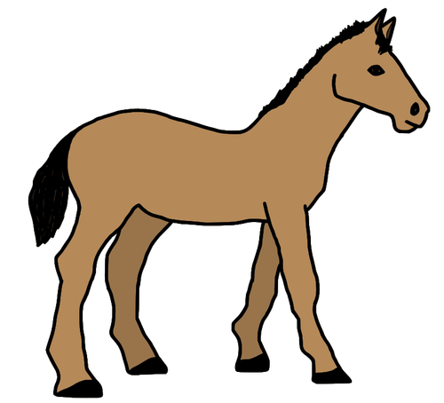 Pony illustration