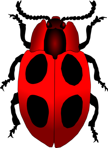 Gambar vektor inscet ladybug kartun