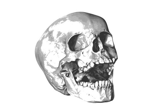 Yawning skull image