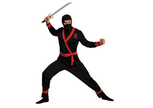 Ninja agent with sword