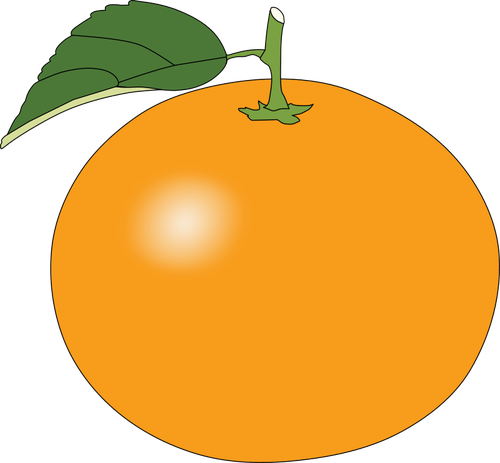 Simple sweet orange