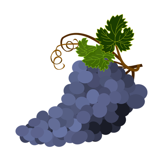 Purple image vectorielle de raisins
