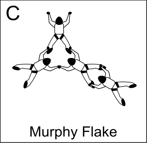 Carta di Murphy Flake