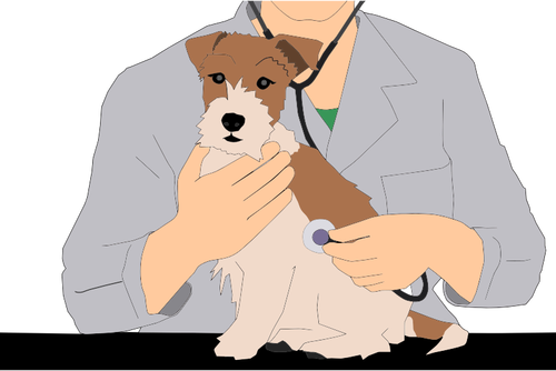 Tierarzt mit Tier