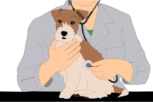 Veterinarian with animal