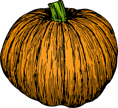 Immagine della zucca