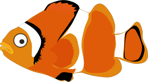 Kleurrijke goldfish