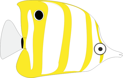 Yellow tropical fish